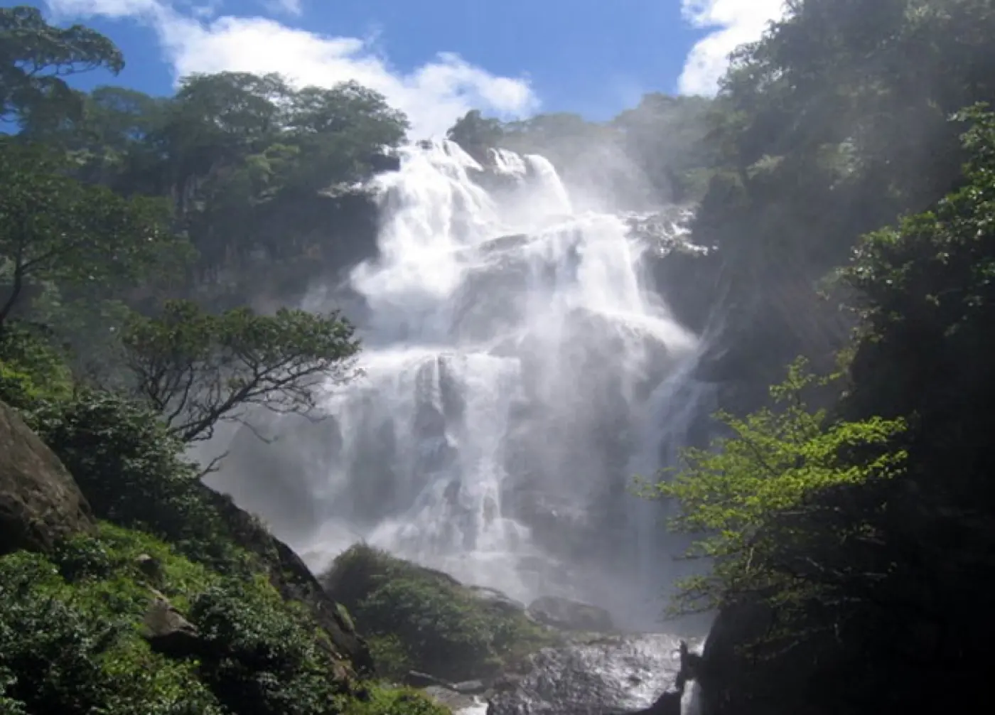 Udzungwa Mountains