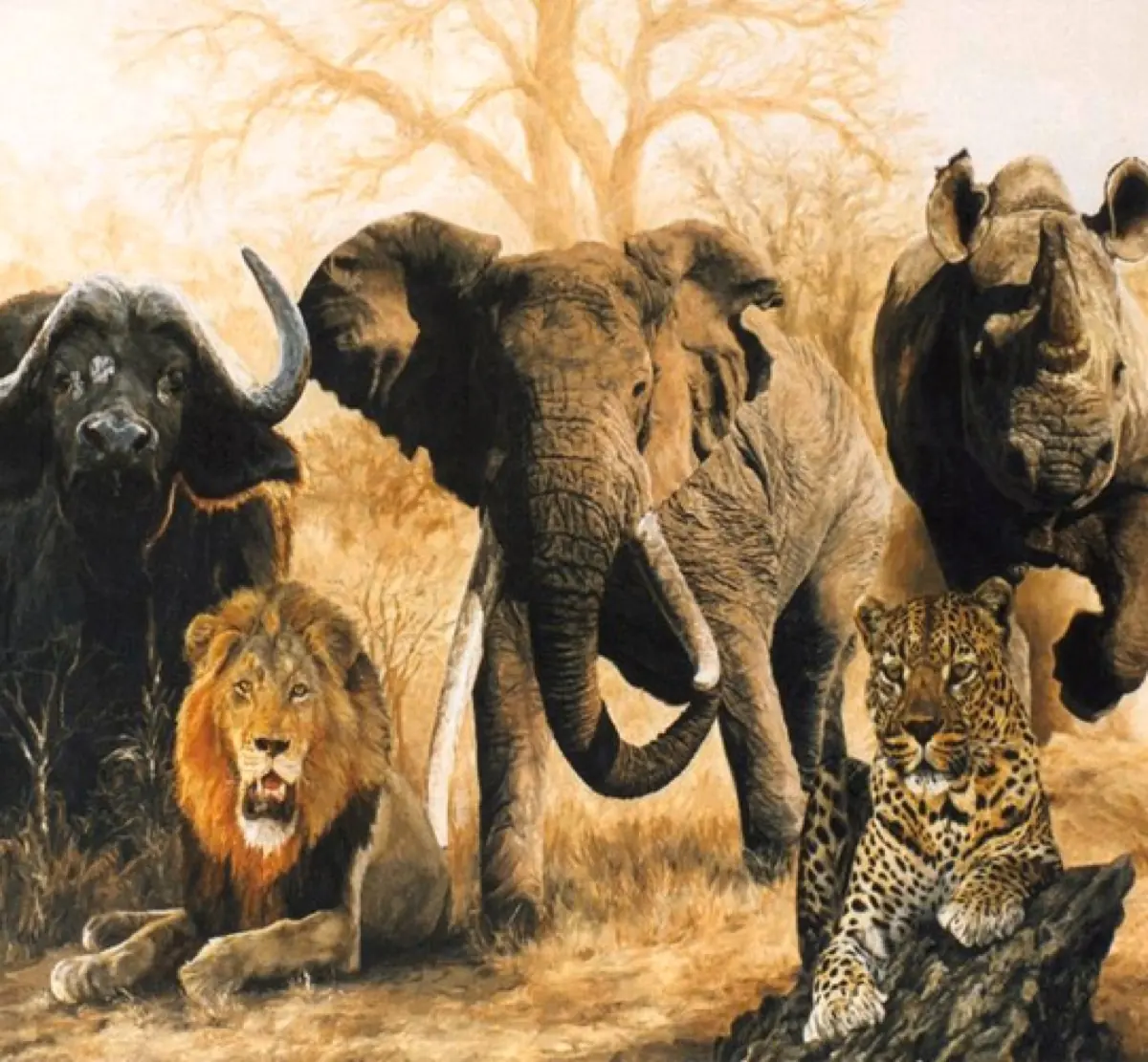 Big Five Safari