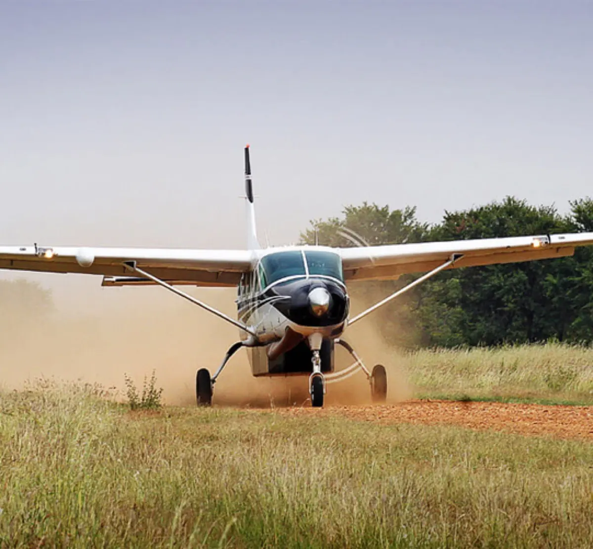 Fly-in Safari