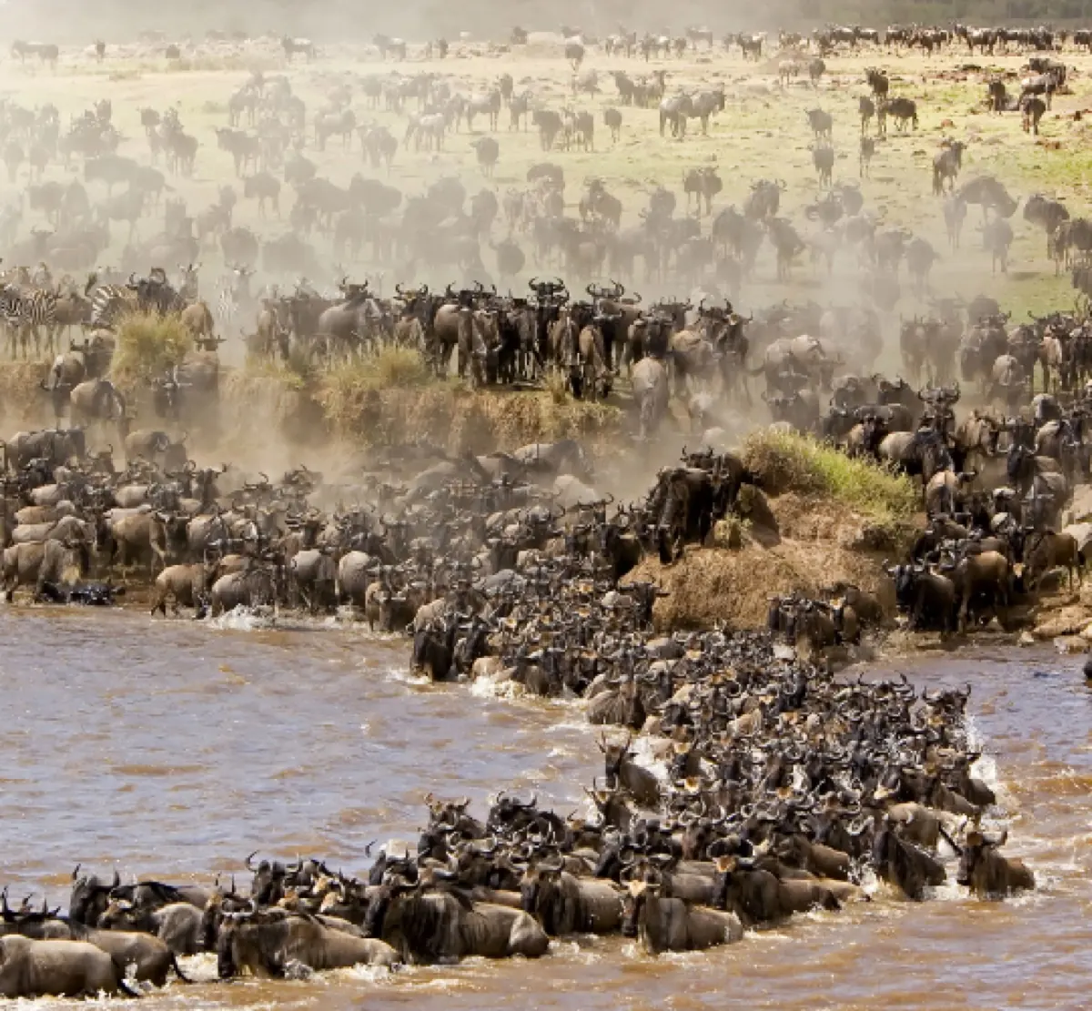 The Great Migration