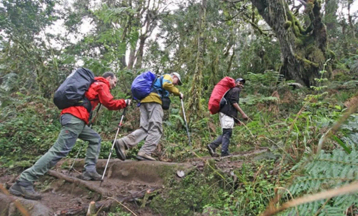7 Days Kilimanjaro — Machame Route
