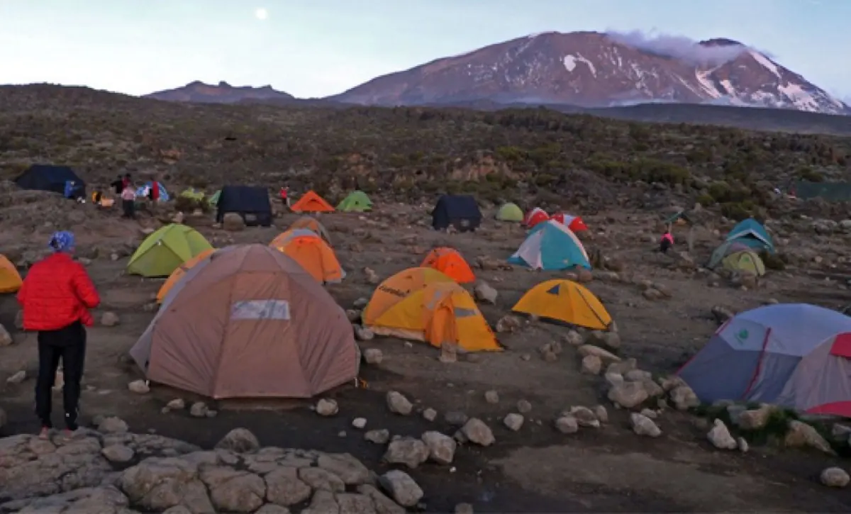 8 Days Kilimanjaro — Lemosho Route