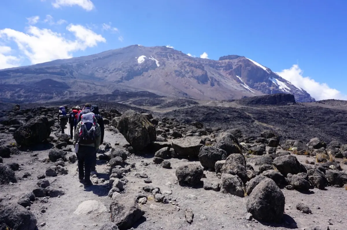 8 Days Machame Group Climb