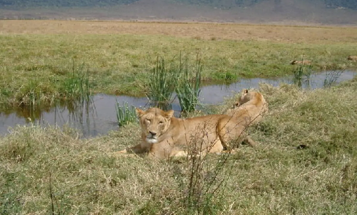 14 Days Ultimate Tanzania