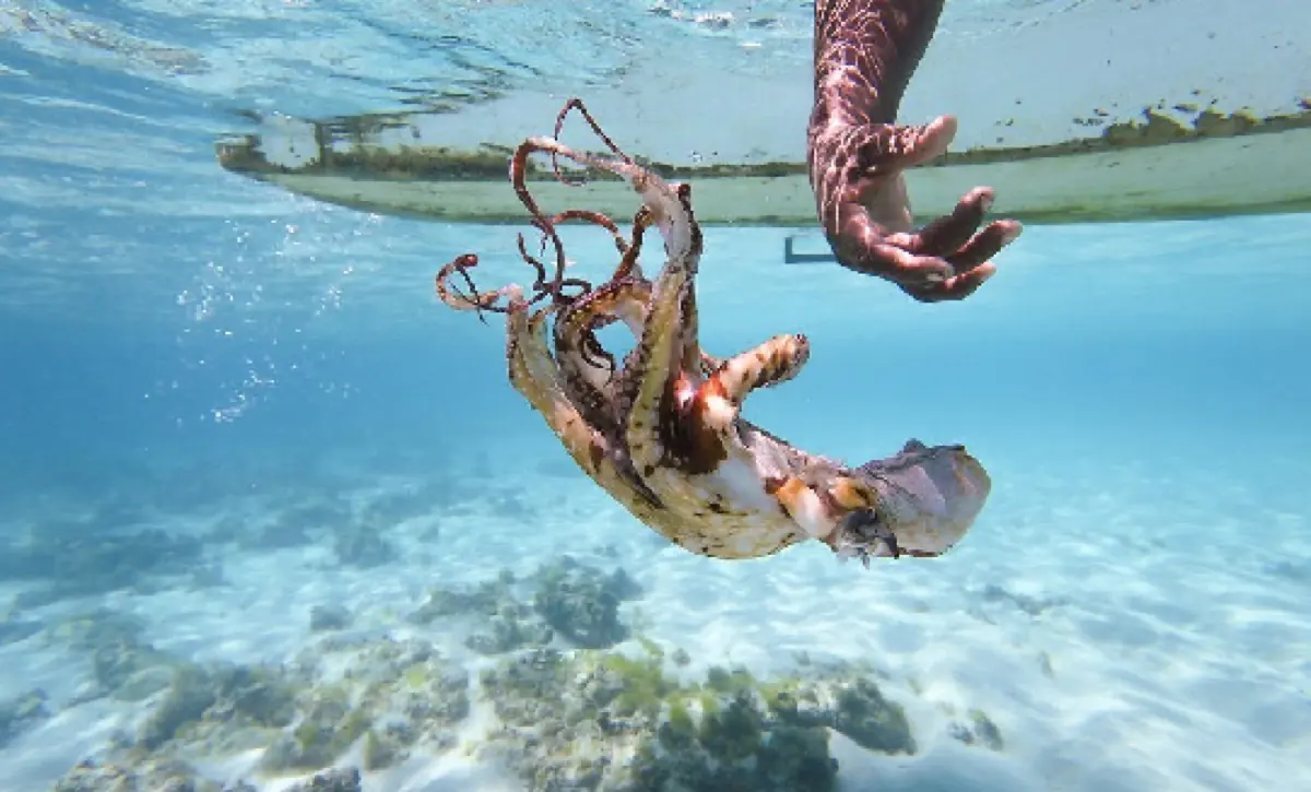 4 Days Zanzibar Beach Escape