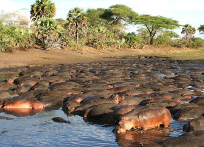 Katavi National Park