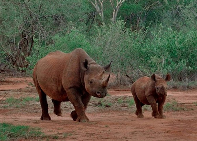 Mkomanzi National Park