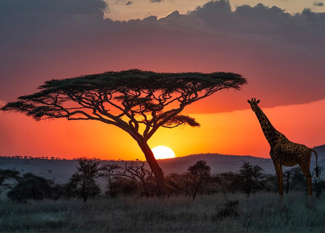 Serengeti National Park