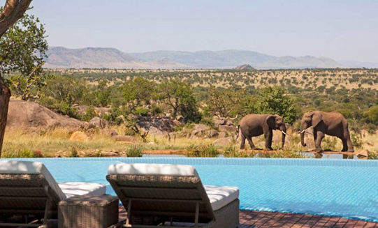 3 Days Mid-Range Tanzania Safari